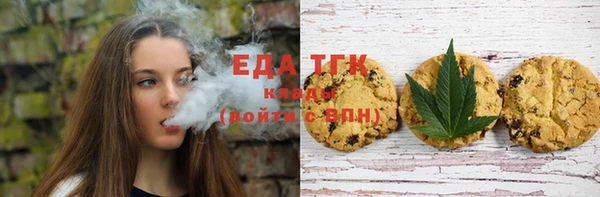 индика Абаза
