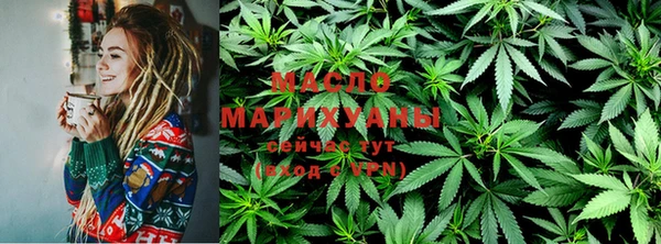 индика Абаза