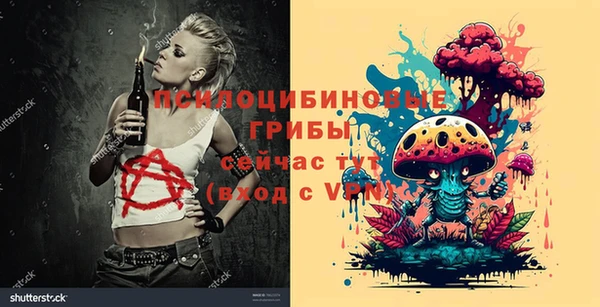 индика Абаза