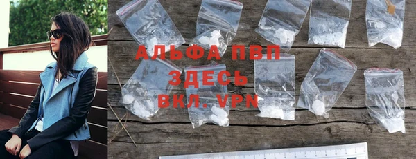 индика Абаза