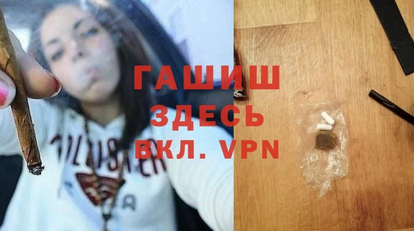 индика Абаза
