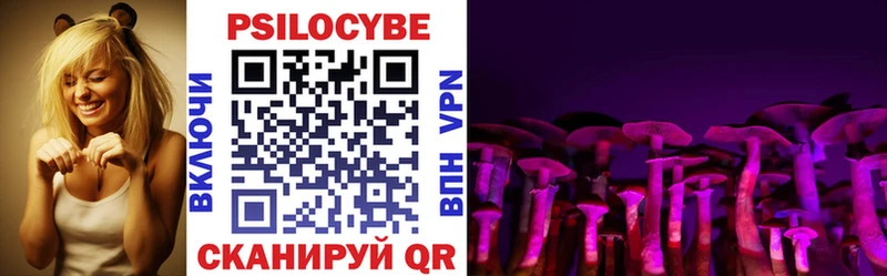 Псилоцибиновые грибы Psilocybe  как найти наркотики  Абинск 